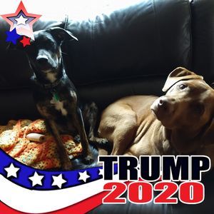 Meet your Posher, Louise